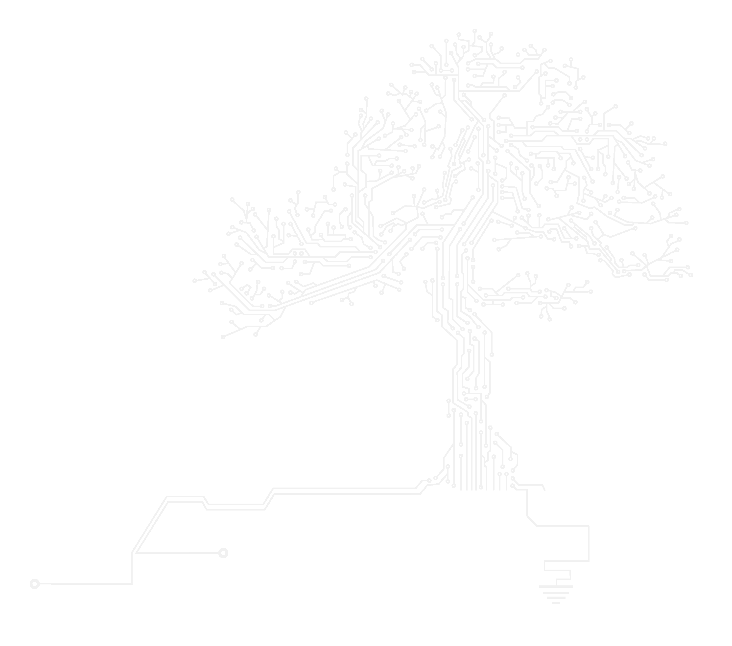circuit tree transparent lighter Neil Chilson